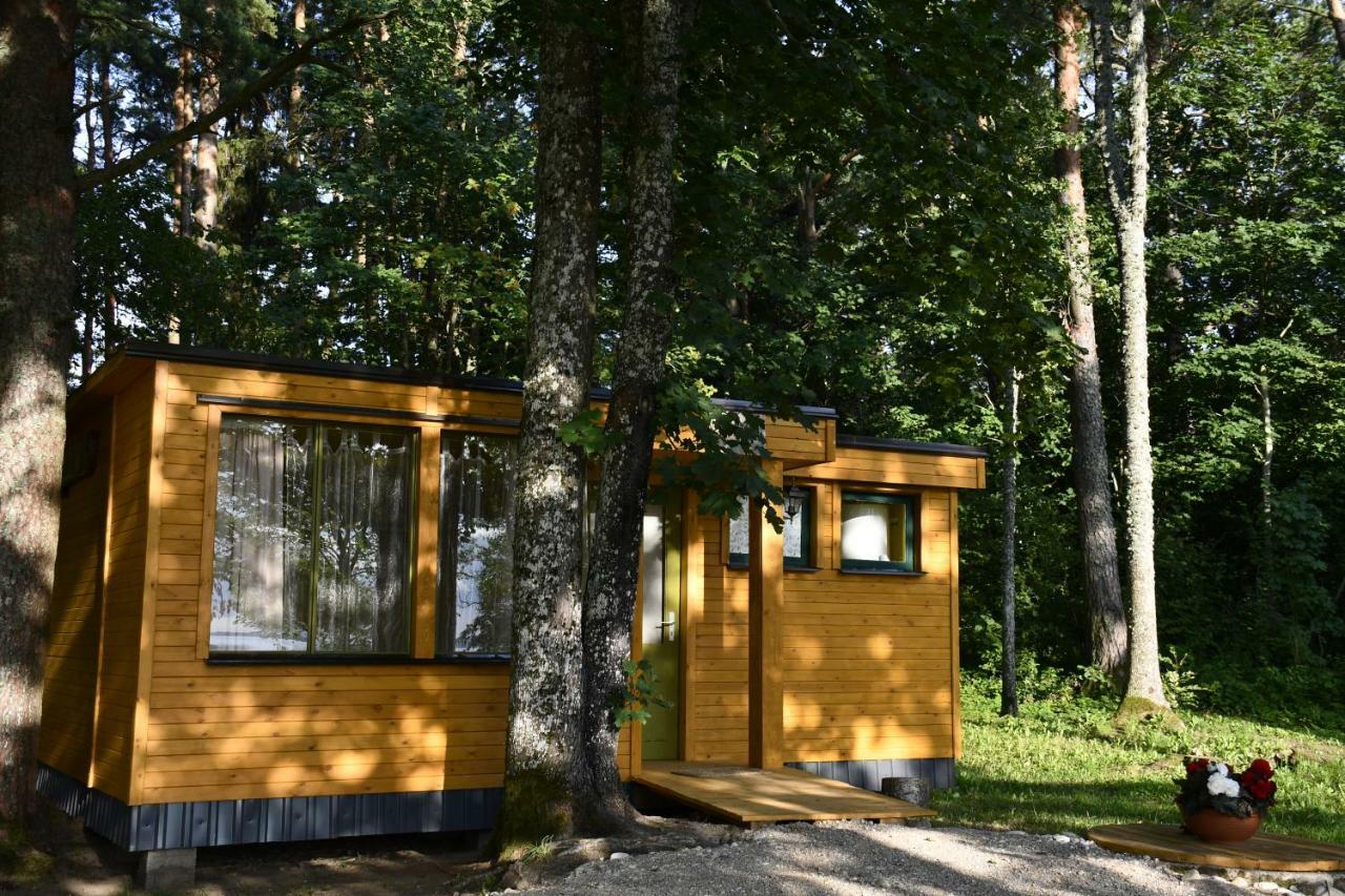 Kempings Ezerpriedes Burtnieki  Kültér fotó
